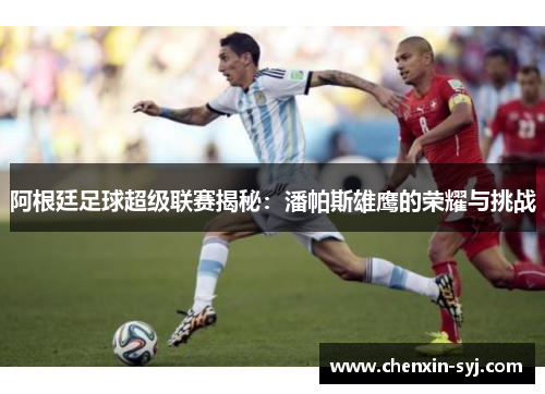 阿根廷足球超级联赛揭秘：潘帕斯雄鹰的荣耀与挑战